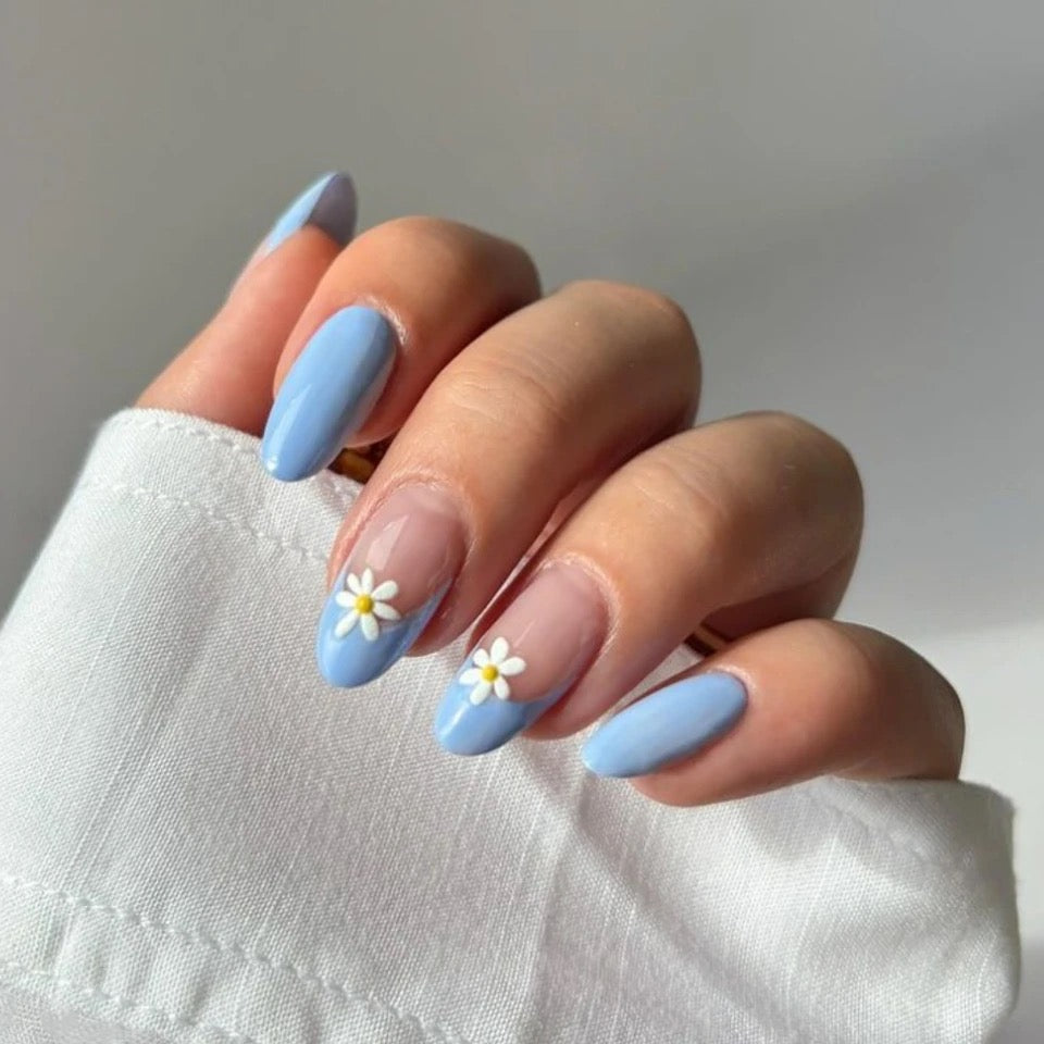 Daisy Blue